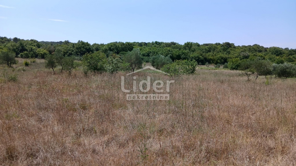 Zemljišče Rovinj, 12786m2