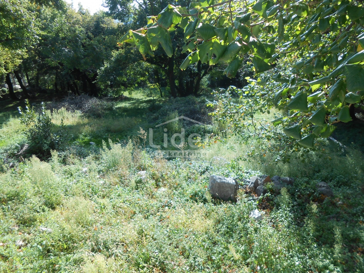 Zemljišče Grižane-Belgrad, 1126m2