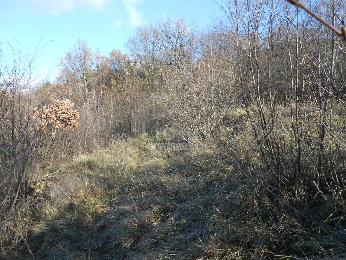 Zemljišče Cernik, 1017m2