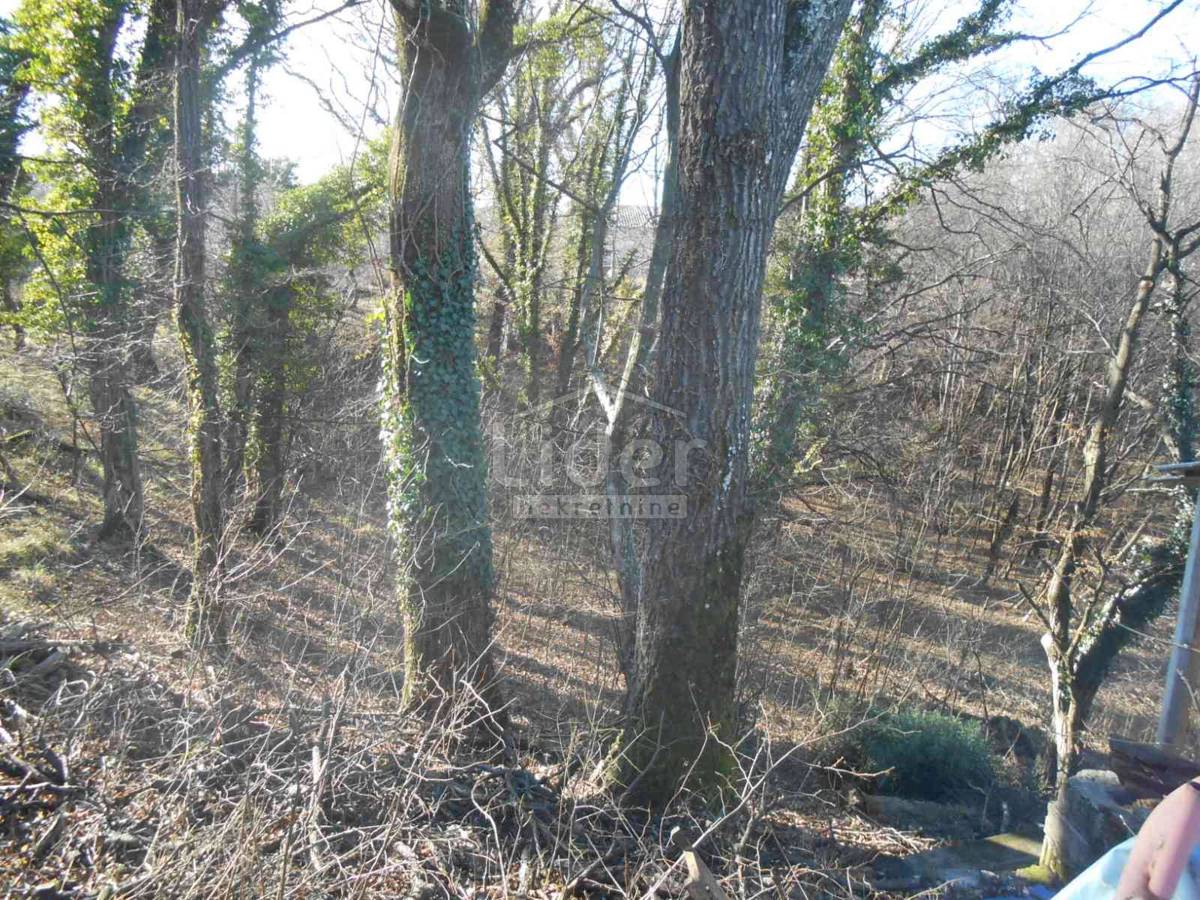 Zemljišče Cernik, 1724m2