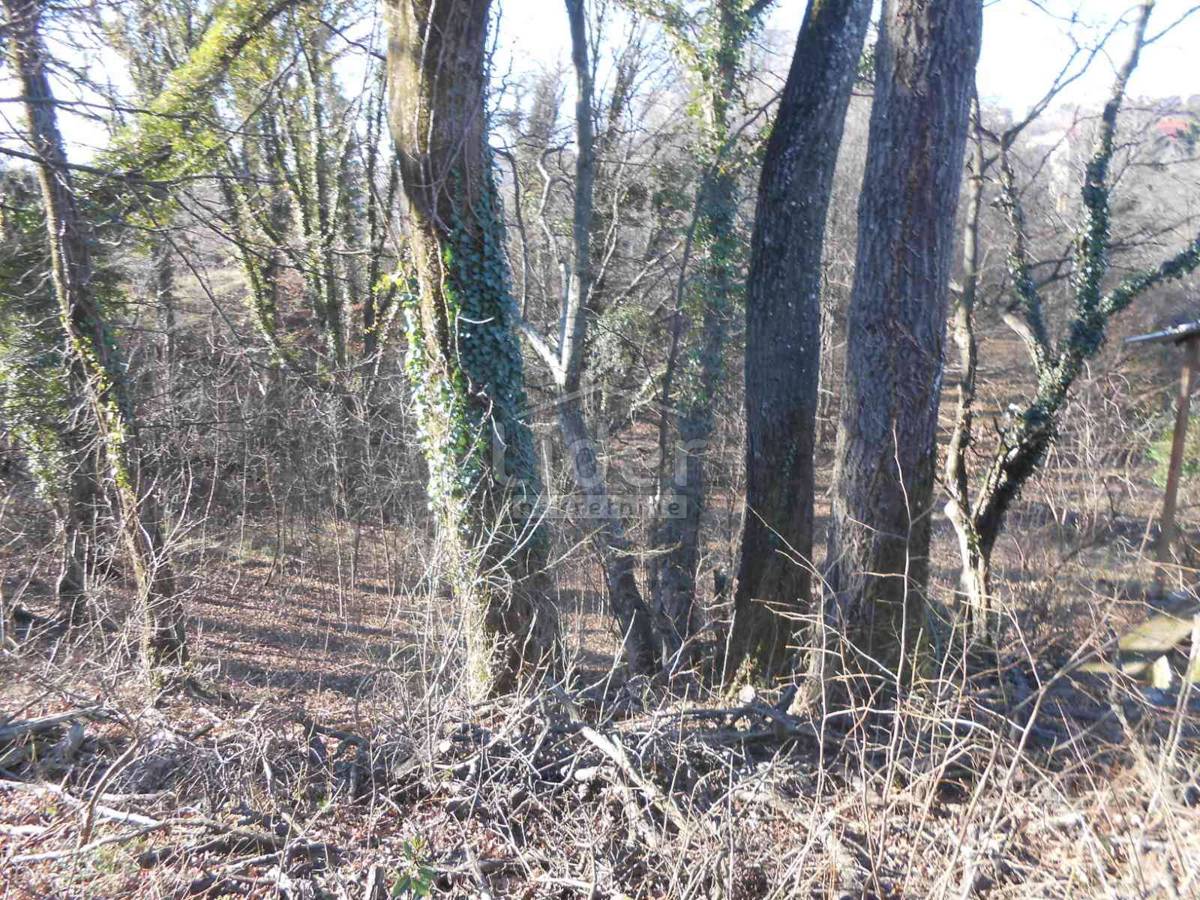 Zemljišče Cernik, 1724m2