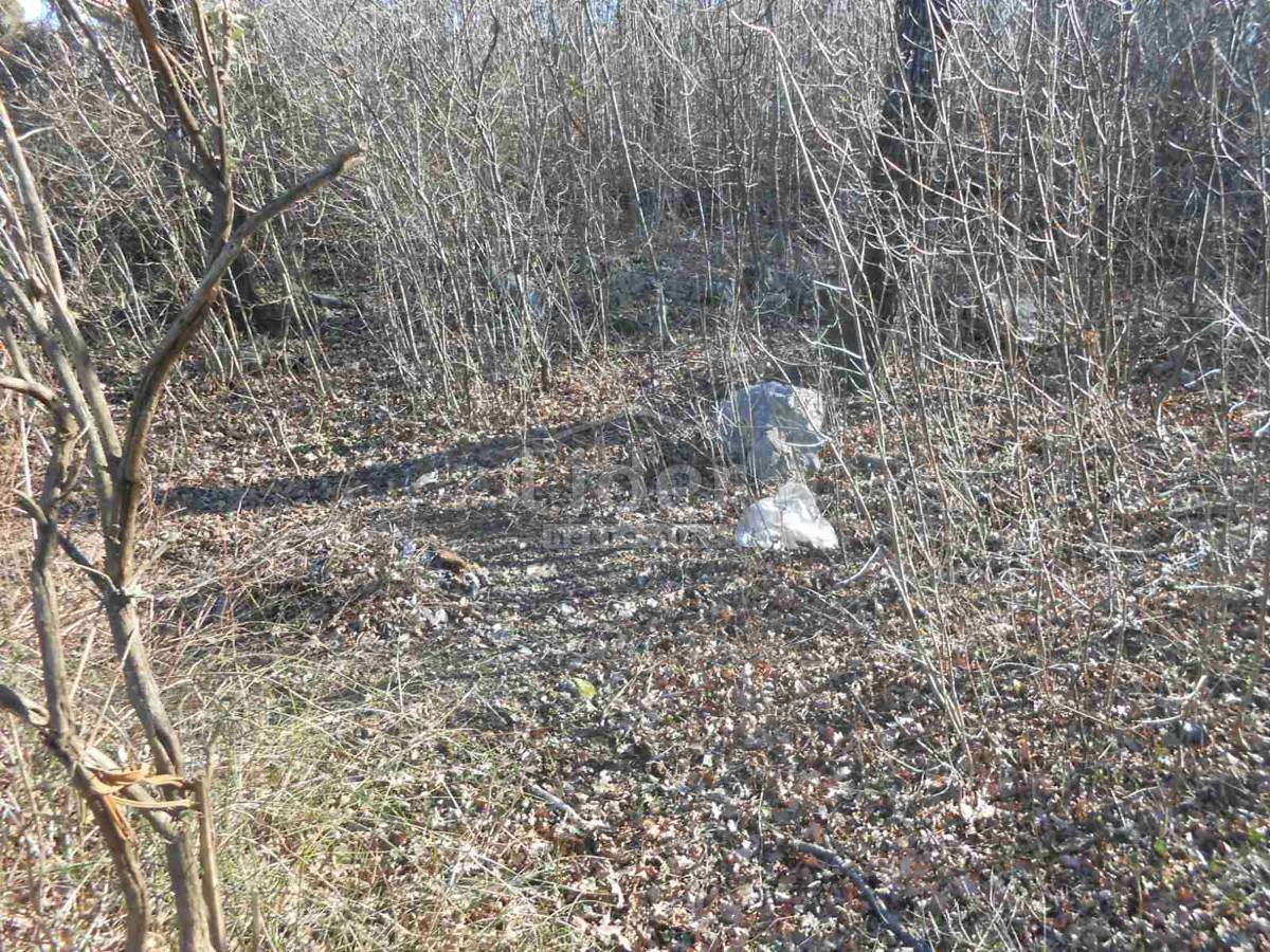 Zemljišče Cernik, 1724m2