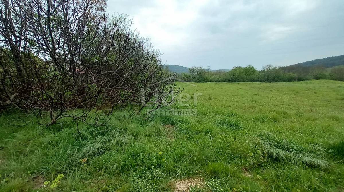 Zemljišče Čabrunići, 30000m2