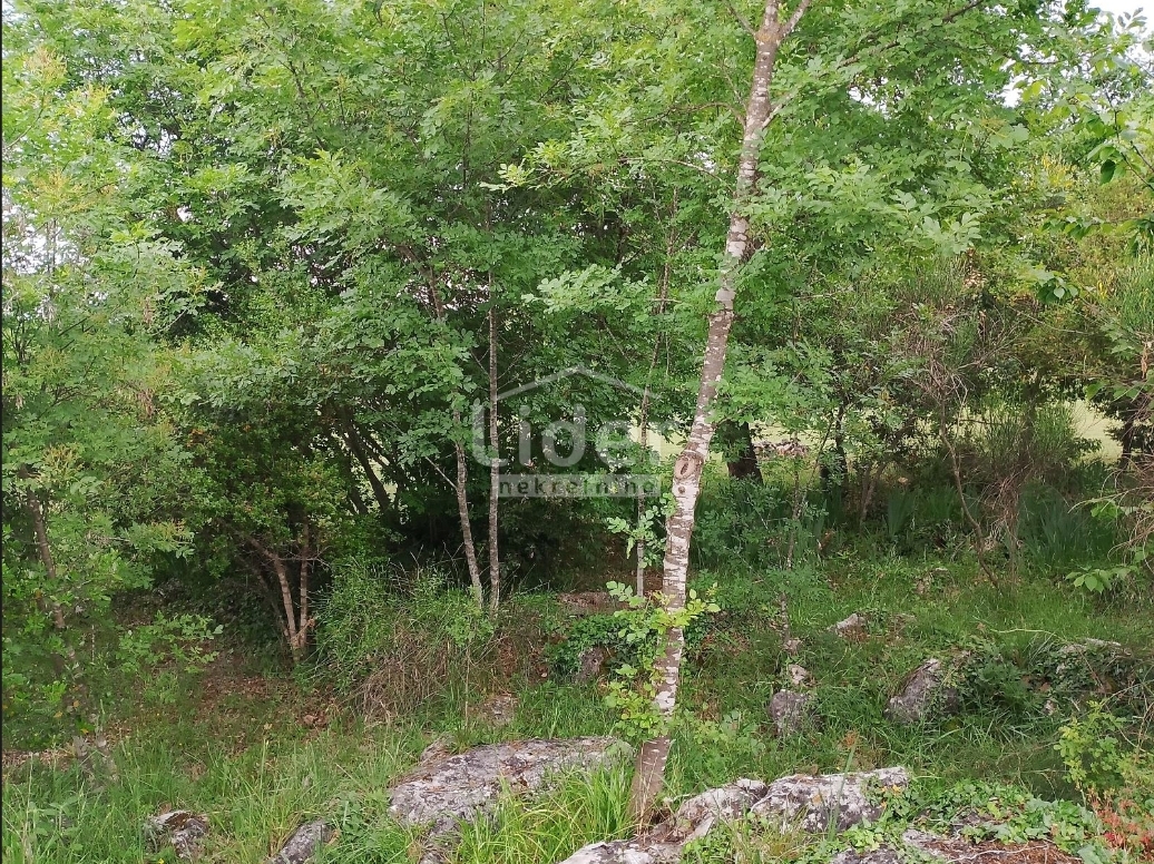 Zemljišče Rovinj, 4217m2