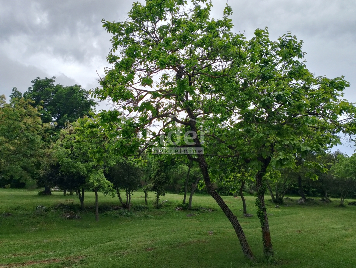 Zemljišče Rovinj, 4217m2