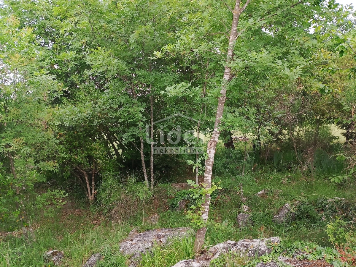 Zemljišče Rovinj, 4217m2