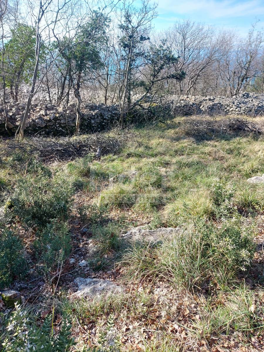 Zemljišče Plešići, 1303m2