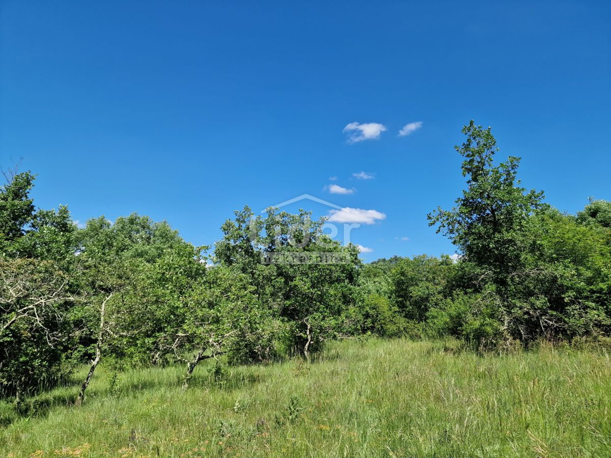 Zemljišče Stranići kod Lovreča, 13686m2