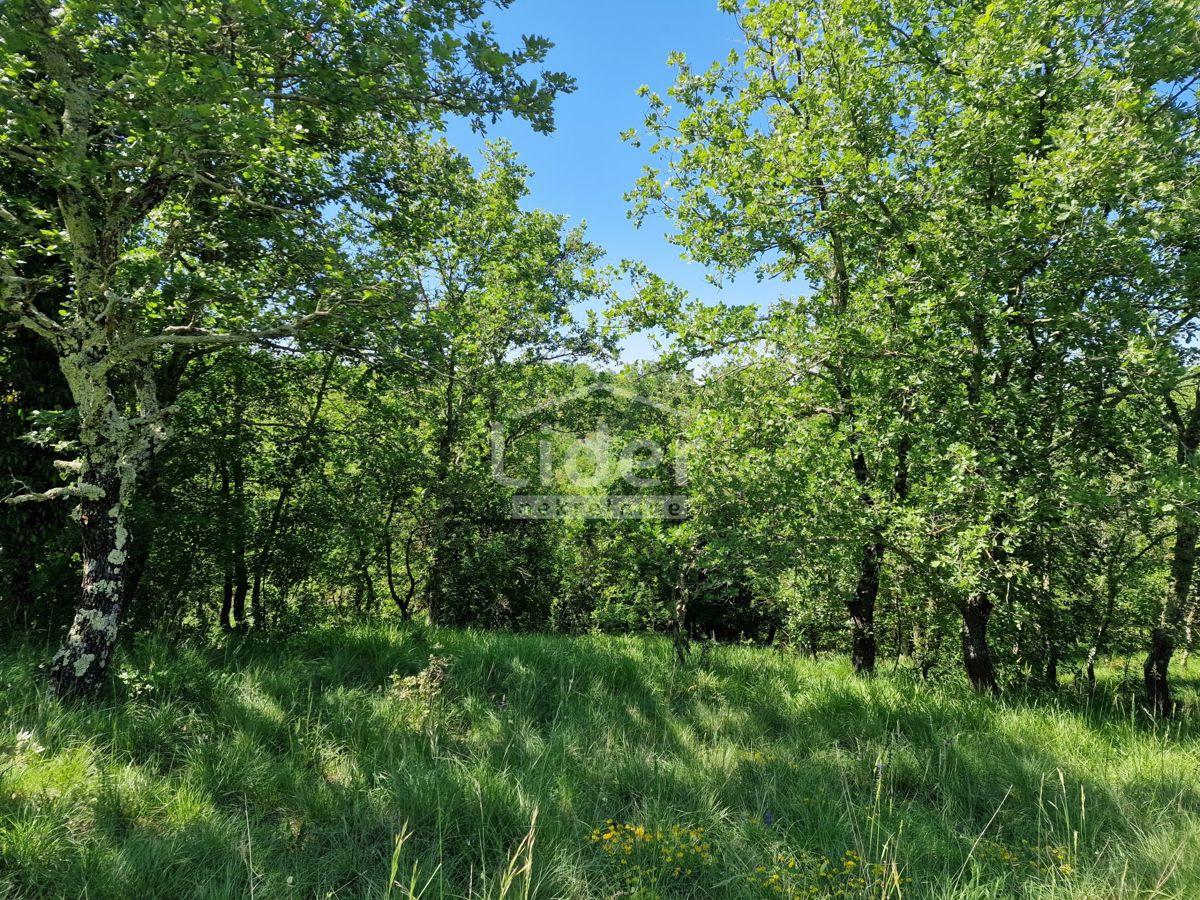 Zemljišče Stranići kod Lovreča, 13686m2
