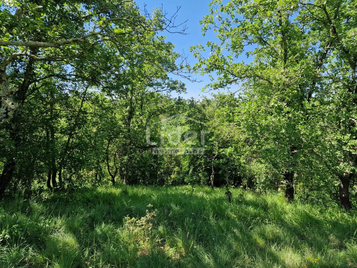 Zemljišče Stranići kod Lovreča, 13686m2