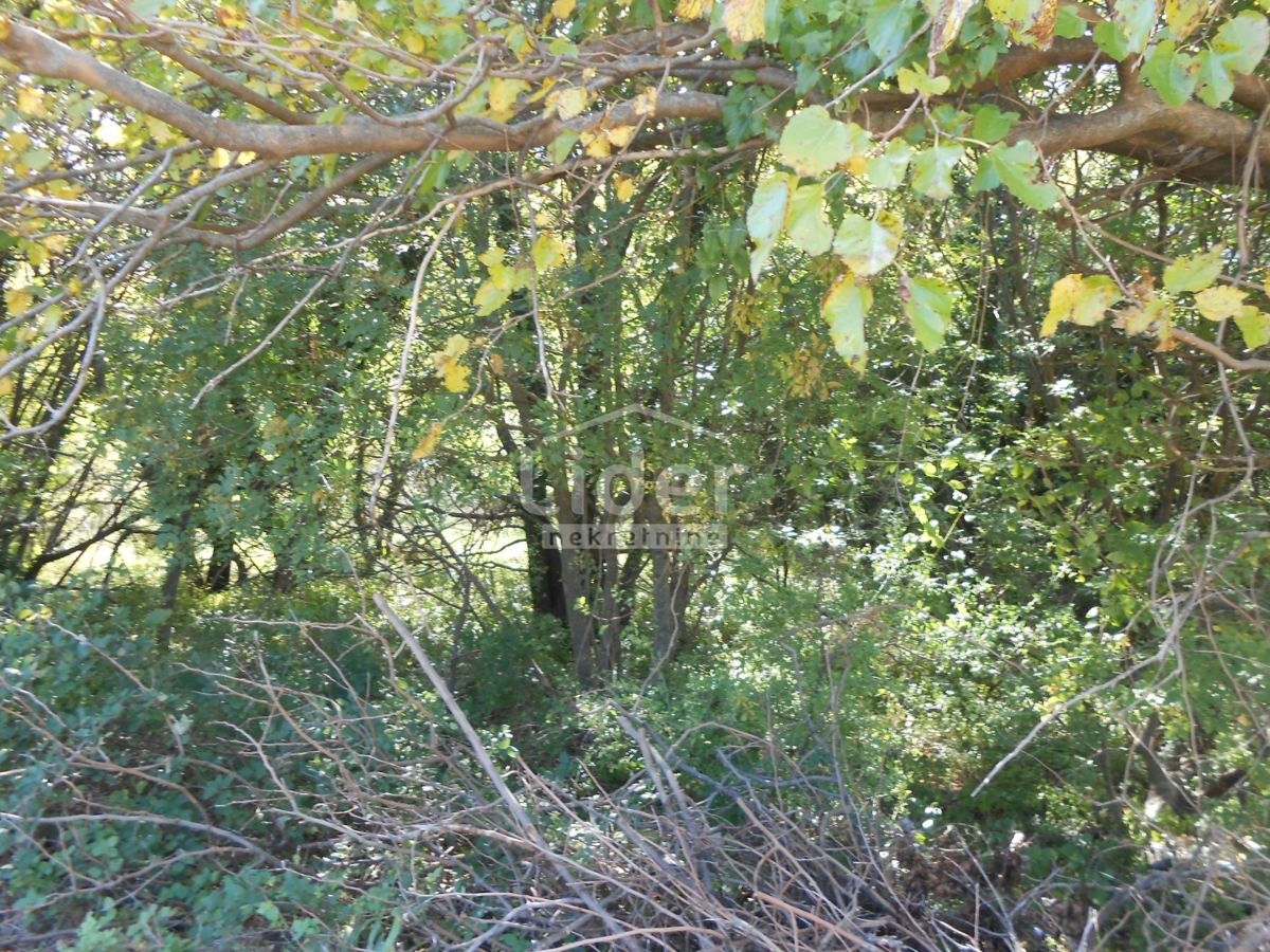 Zemljišče Bribir, 656m2