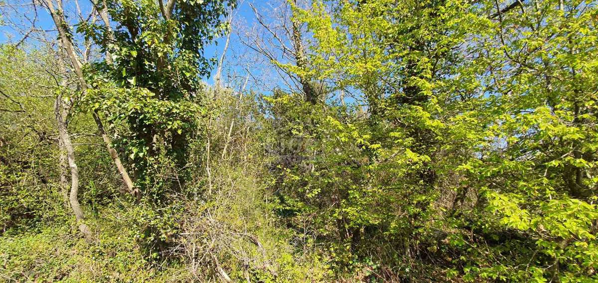 Zemljišče Krunčići, 3028m2