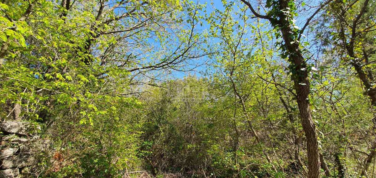 Zemljišče Krunčići, 3028m2