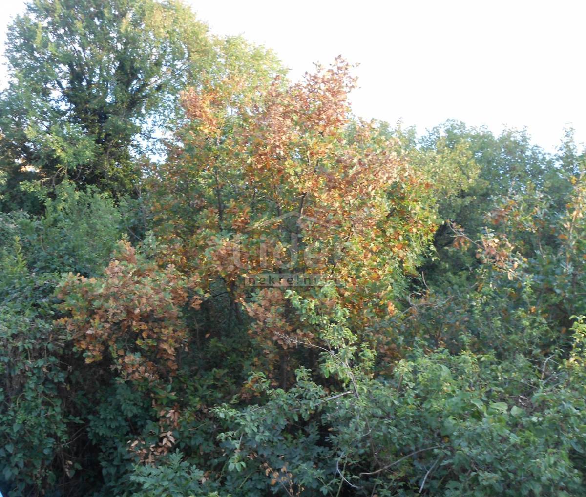 Zemljišče Rožmanići, 1651m2