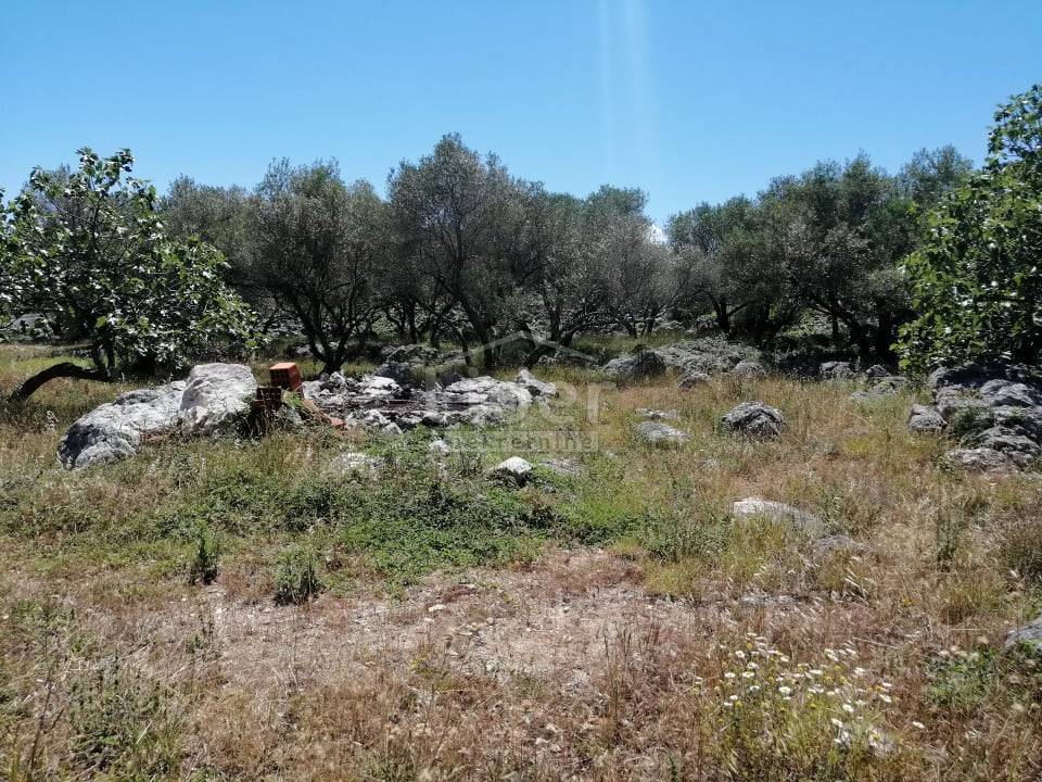 Zemljišče Krk, 1827m2