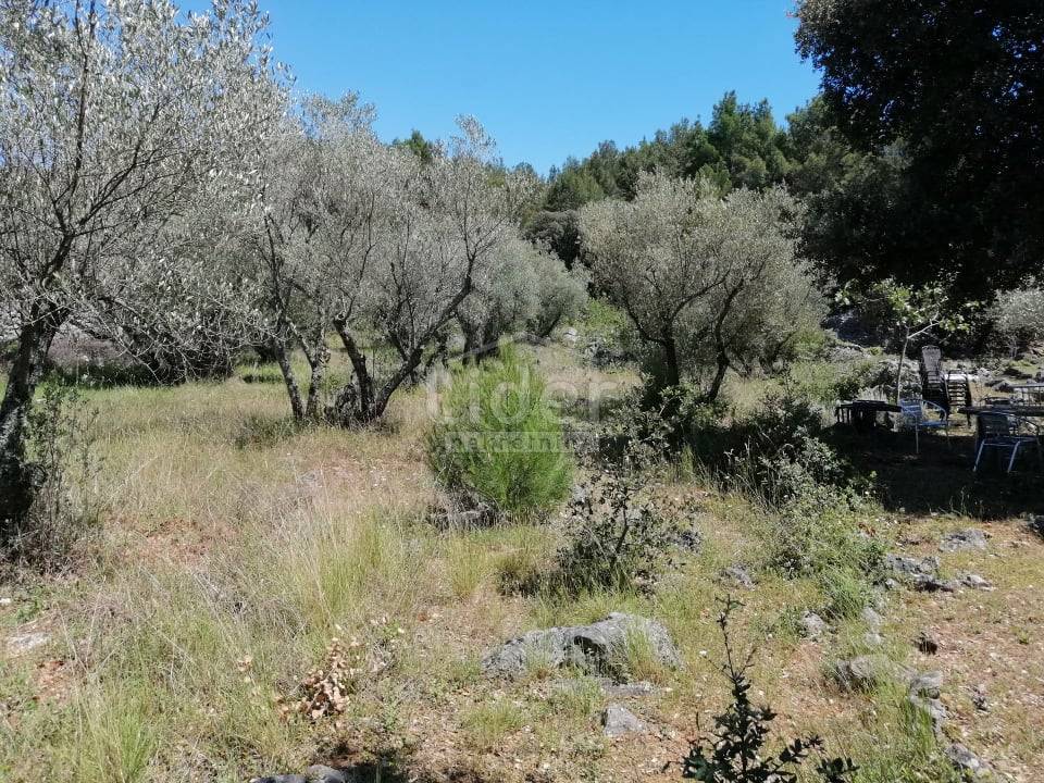 Zemljišče Krk, 1827m2