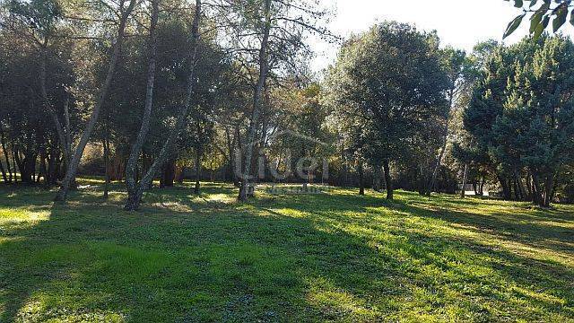 Zemljišče Rovinj, 12050m2