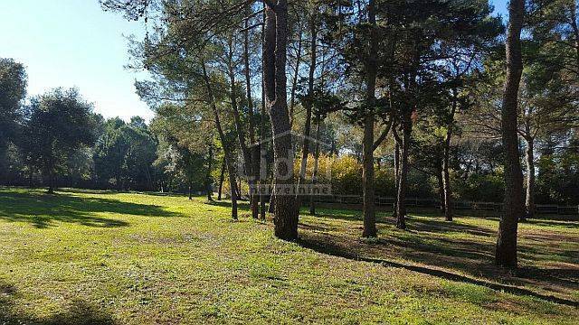 Zemljišče Rovinj, 12050m2