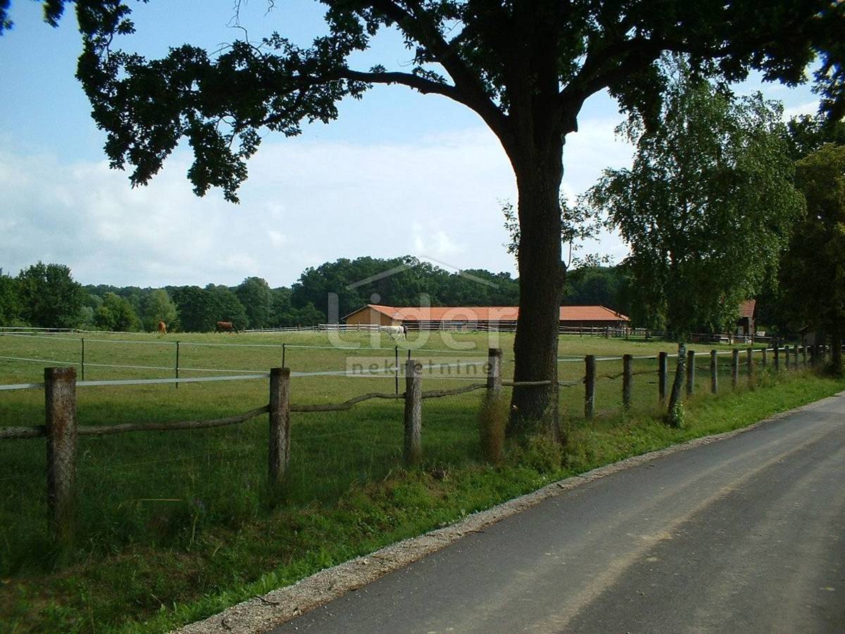 Zemljišče Habjanovac, 84000m2