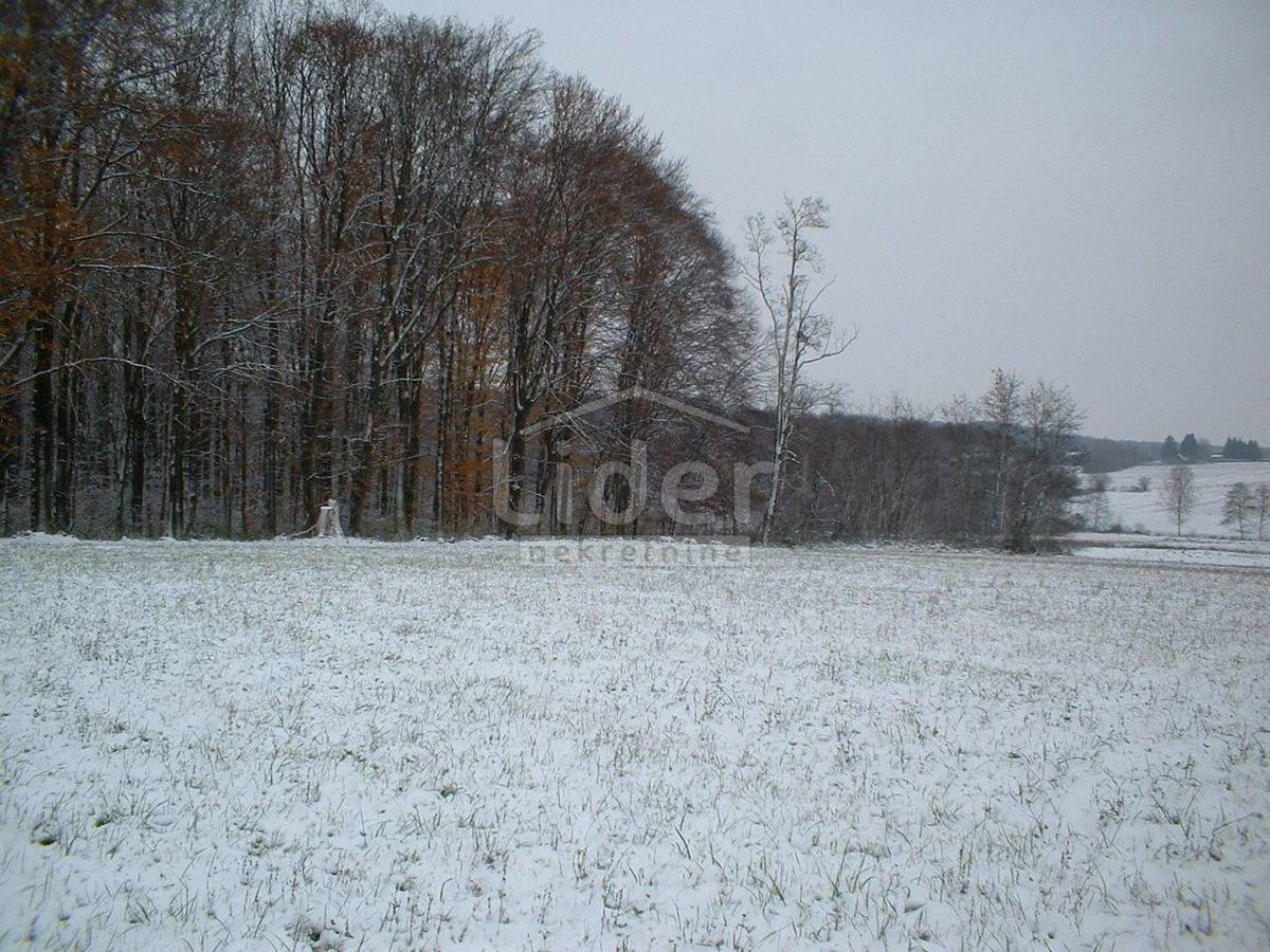 Zemljišče Habjanovac, 84000m2