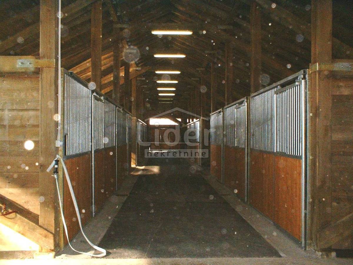 Zemljišče Habjanovac, 84000m2