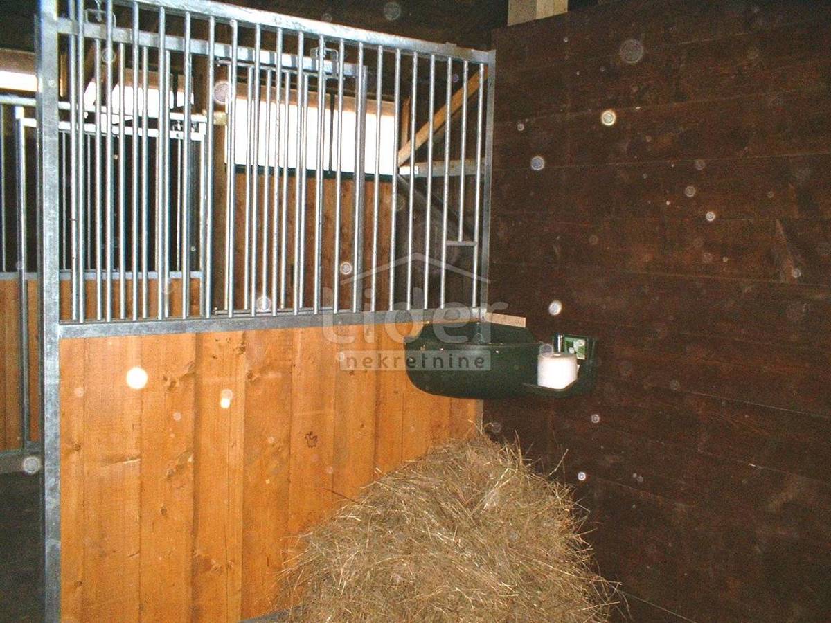 Zemljišče Habjanovac, 84000m2