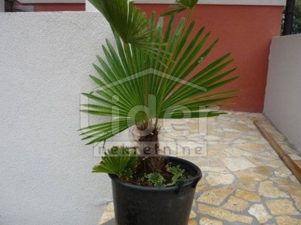 Hiša Kraljevica, 400m2