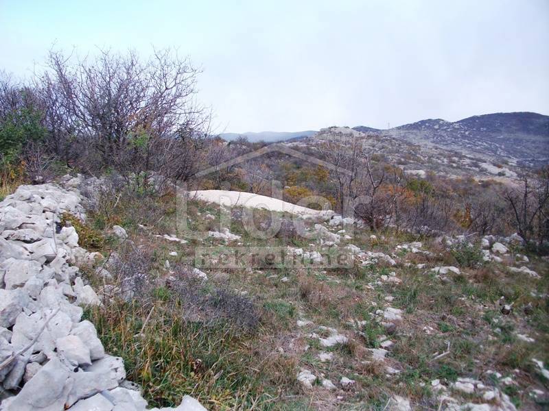 Zemljišče Škrljevo, 800m2