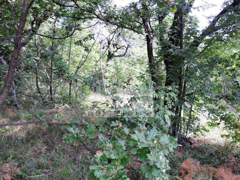 Zemljišče Drenova, 1900m2