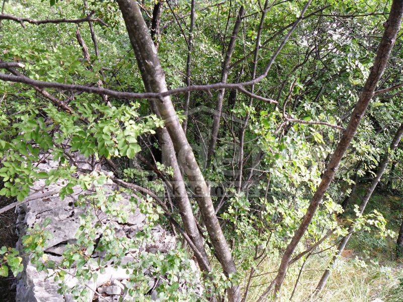 Zemljišče Drenova, 1900m2