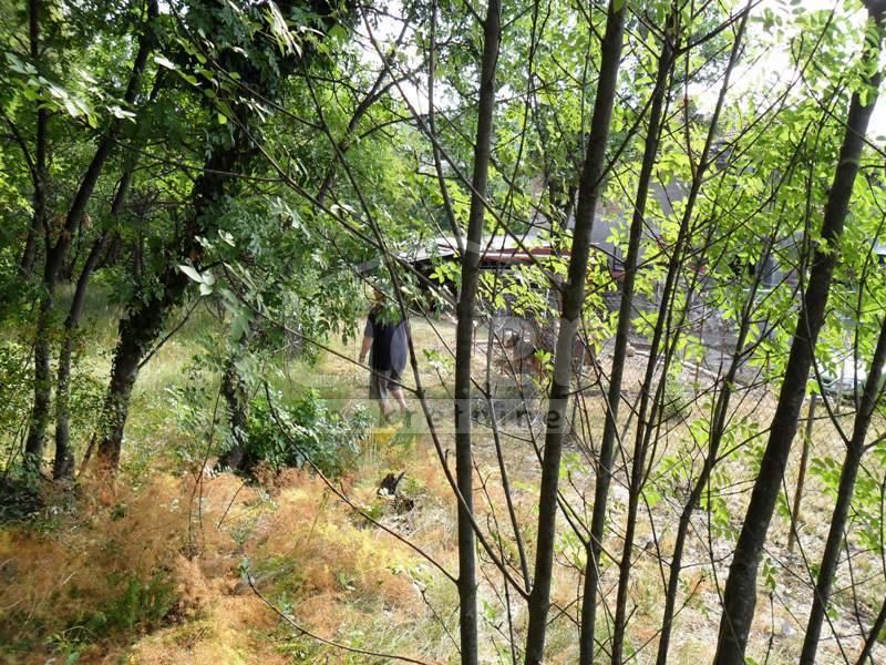 Zemljišče Drenova, 1900m2