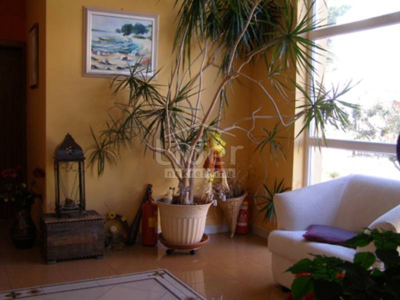 Poslovni prostor Palit, 720m2