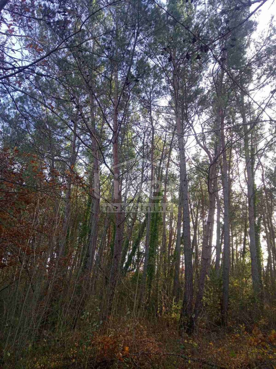 Zemljišče Vodnjan, 68000m2