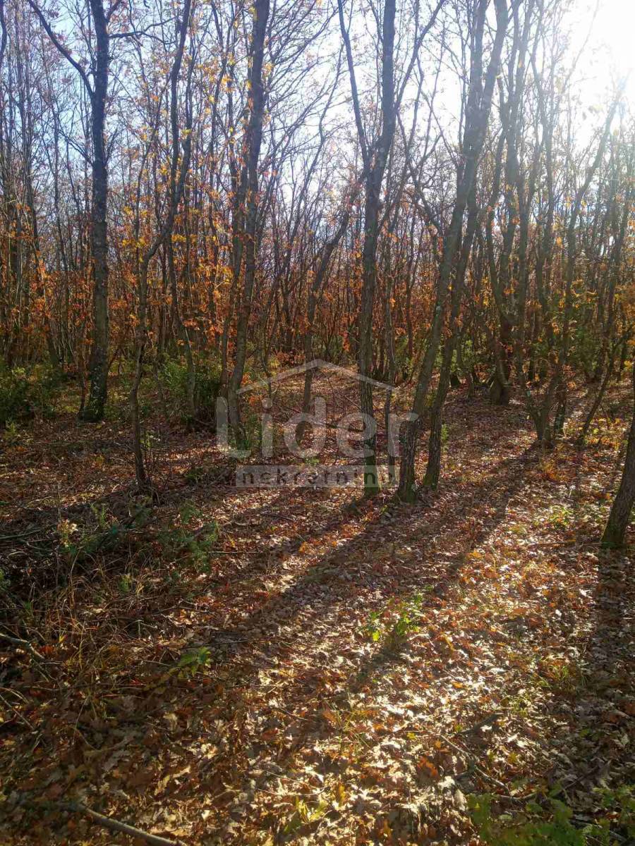 Zemljišče Vodnjan, 68000m2