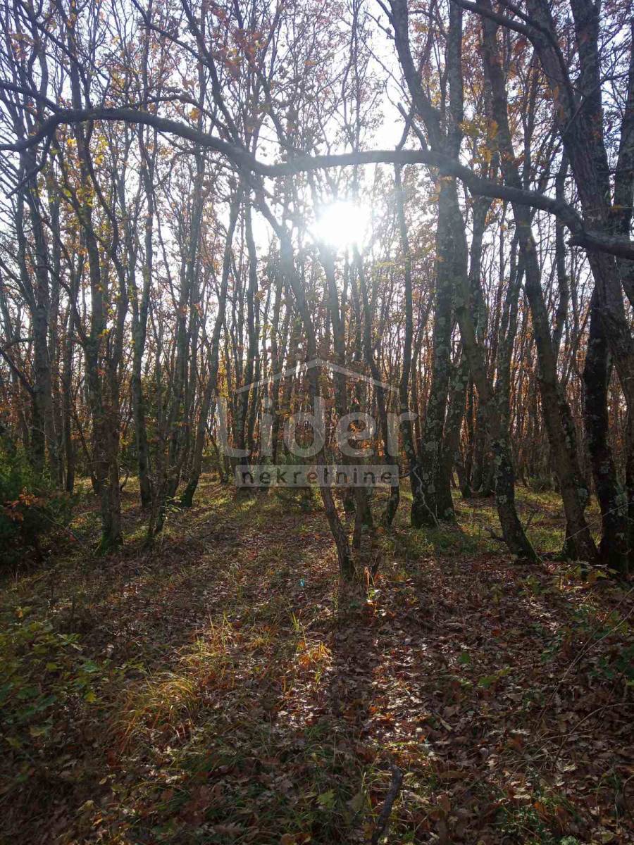 Zemljišče Vodnjan, 68000m2