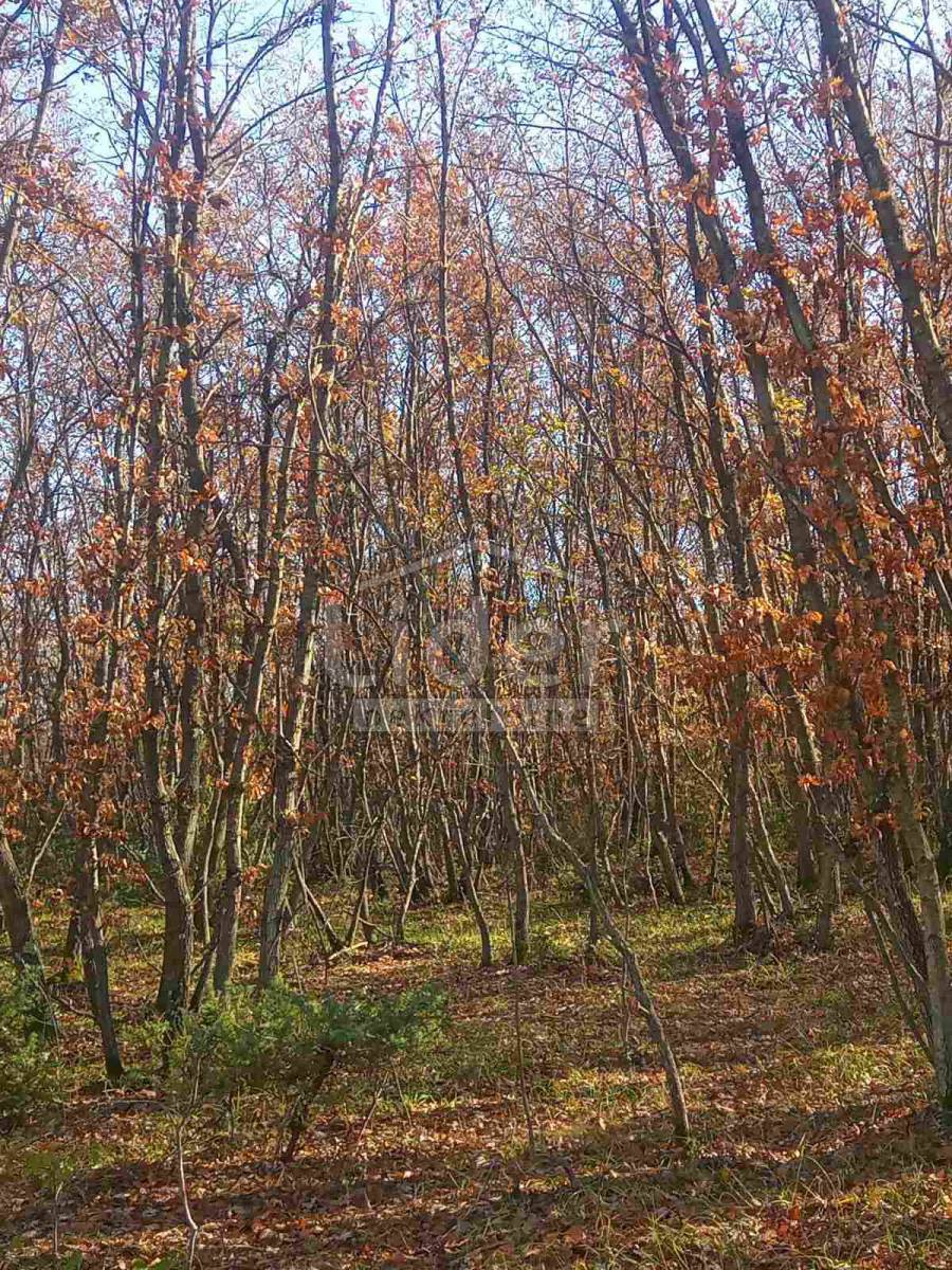 Zemljišče Vodnjan, 68000m2