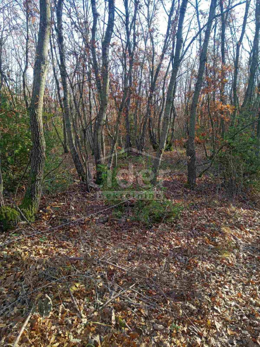 Zemljišče Vodnjan, 68000m2