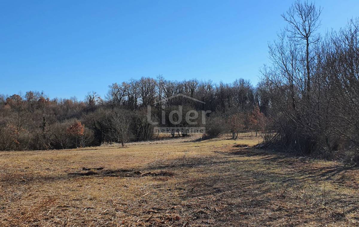 Zemljišče Kringa, 7235m2