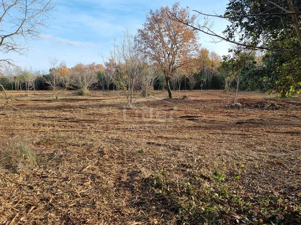 Zemljišče Rovinj, 6292m2