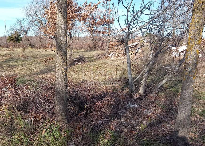 Zemljišče Mrgani, 1600m2