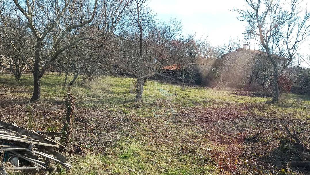 Zemljišče Mrgani, 1600m2