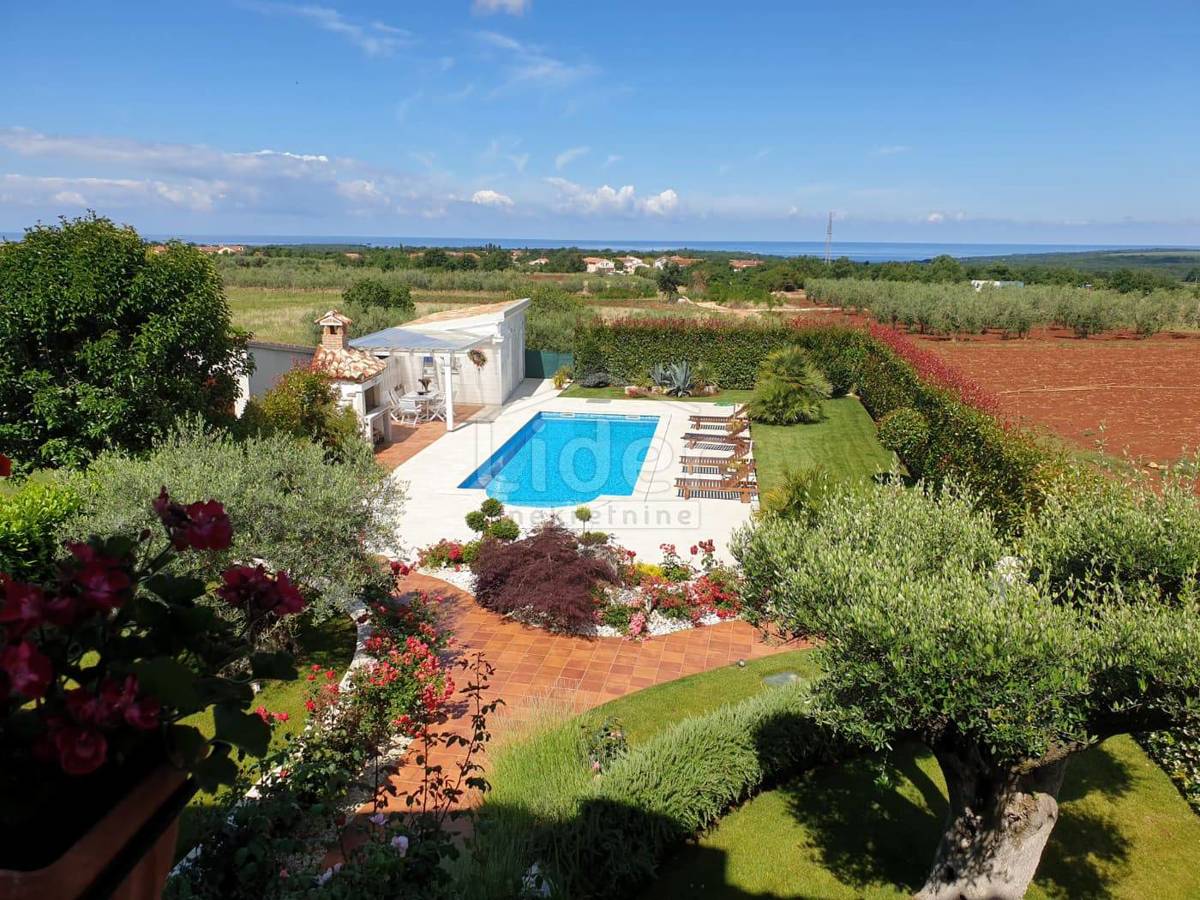 Hiša Nova Vas, 850m2