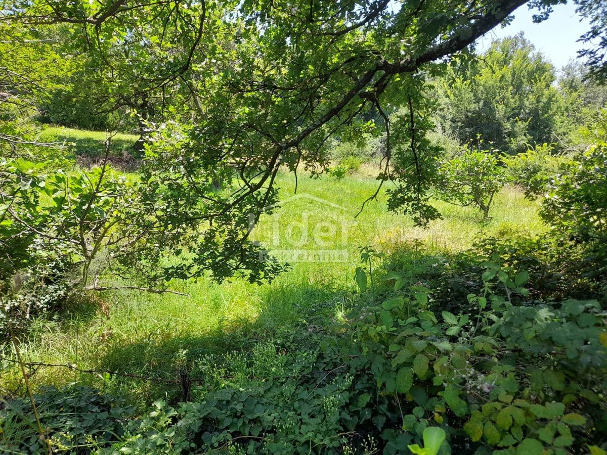 Zemljišče Bribir, 1641m2