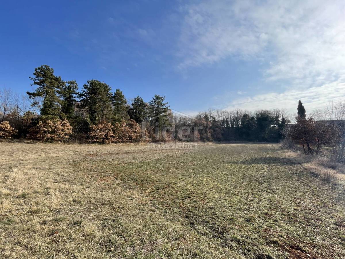 Zemljišče Tinjan, 4560m2