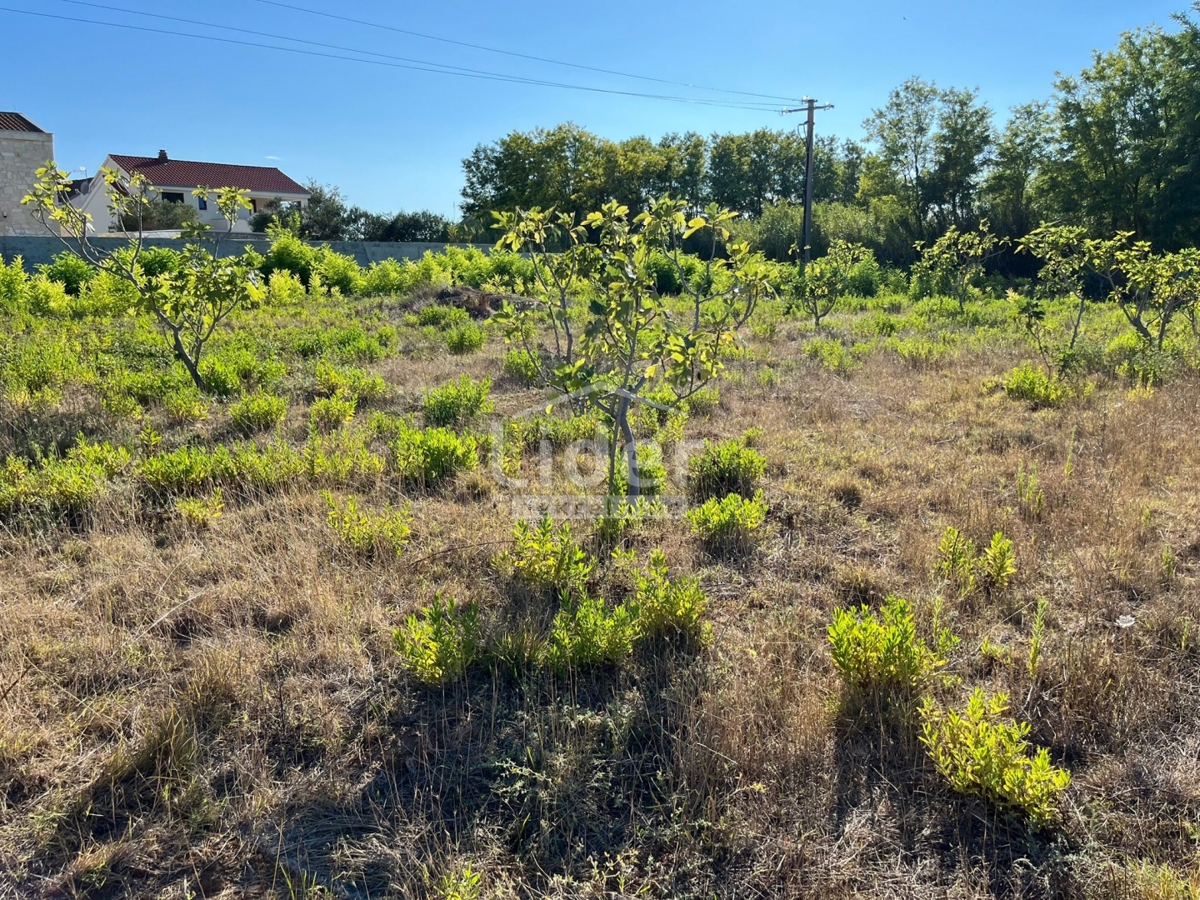 Zemljišče Privlaka, 520m2