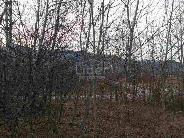 Zemljišče Hambarište, 10000m2