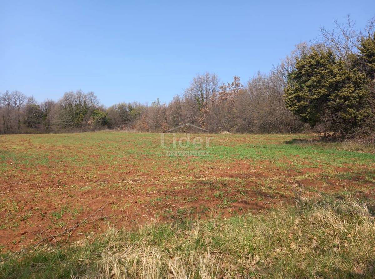 Zemljišče Barban, 6411m2