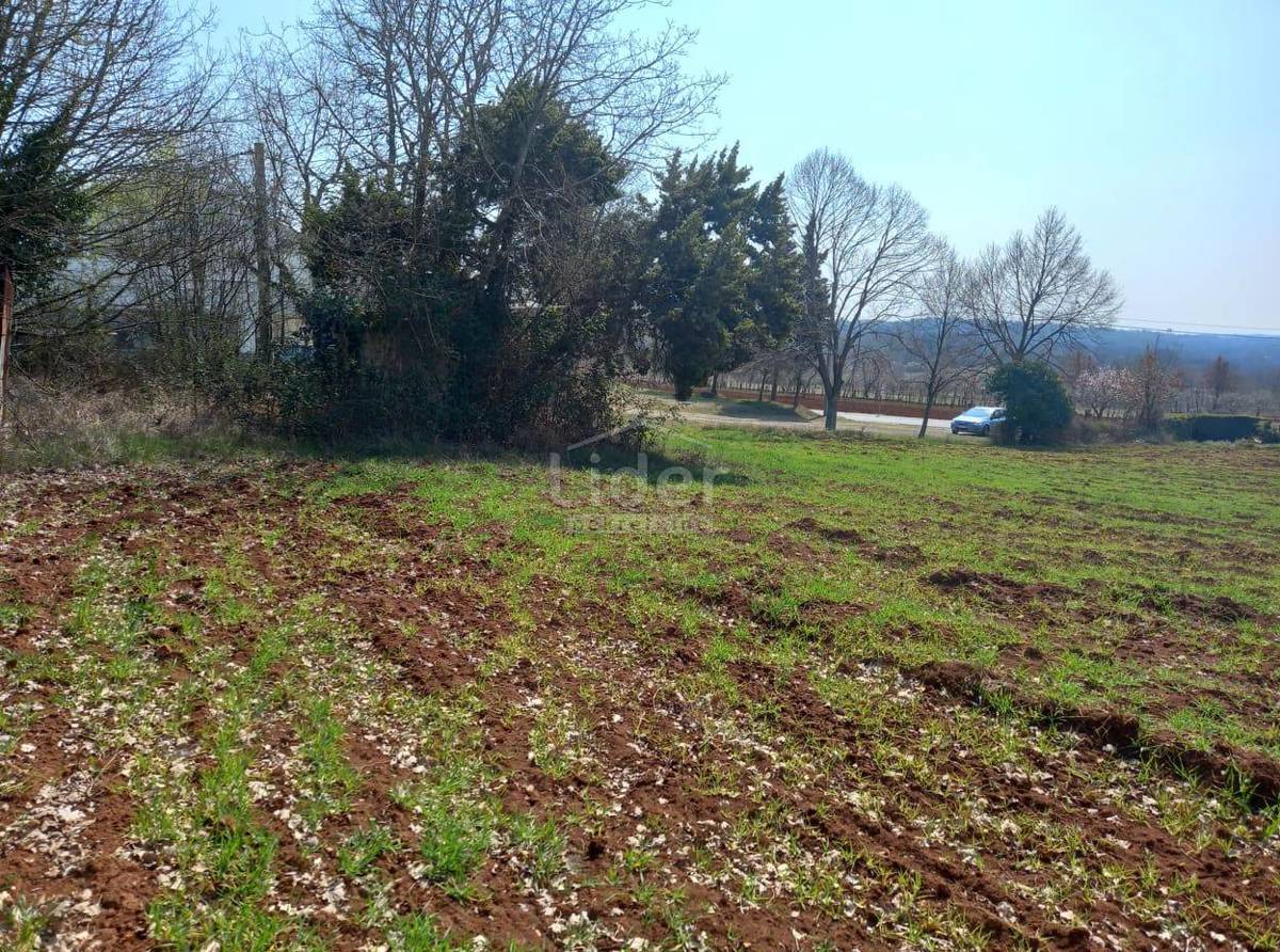 Zemljišče Barban, 6411m2