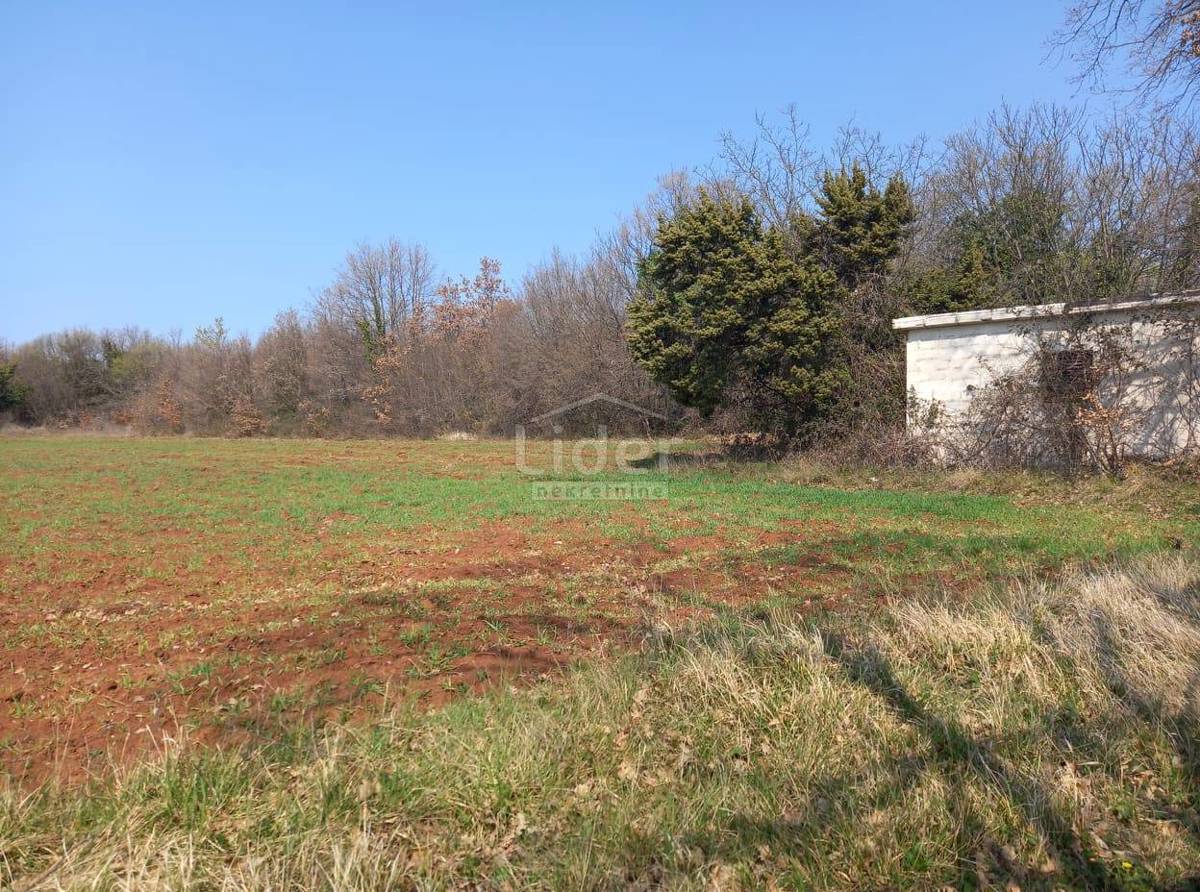 Zemljišče Barban, 6411m2