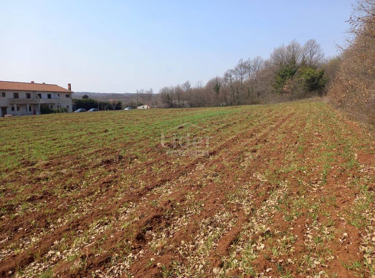 Zemljišče Barban, 6411m2